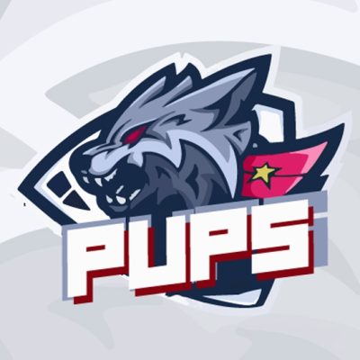 PUPS Wrocław LOGO